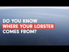 Atlantic Canadian Lobster 3-Pack